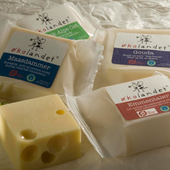 Emballagedesign til ØkoLandet Økologisk ost for Falengreen af Pack Design