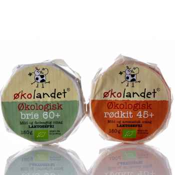 Økolandet økologisk brie emballagedesign – Falengreen