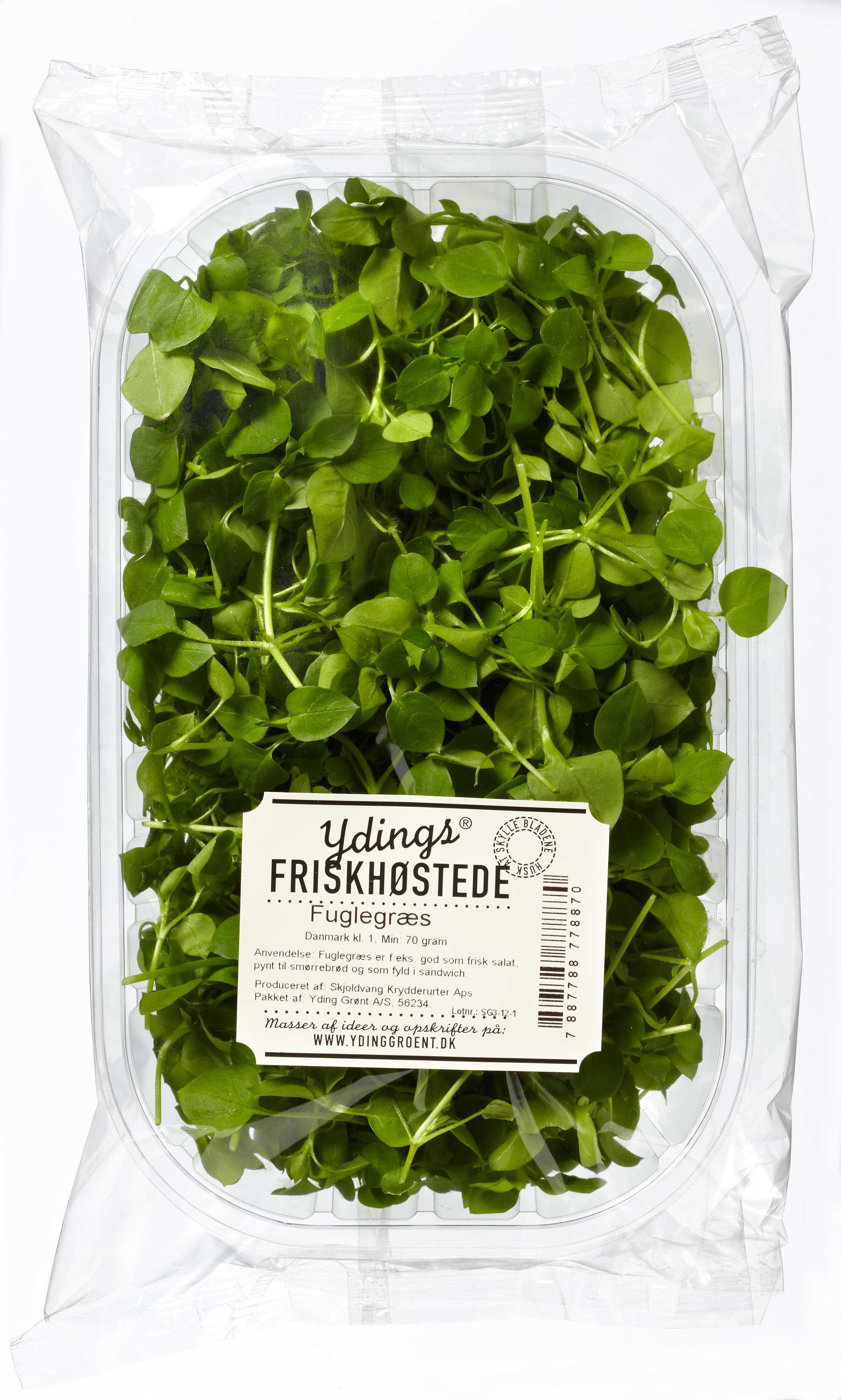Ydings frischem Salat Verpackungsdesign – Yding Grønt